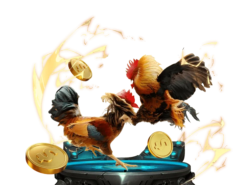 Chính sách chơi có trách nhiệm